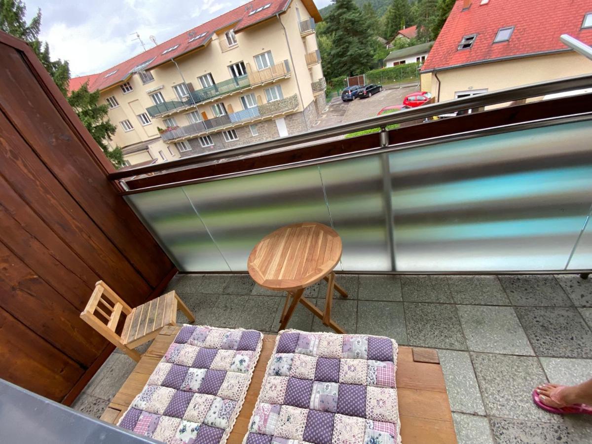 Apartman Slapy-Zdan Екстериор снимка