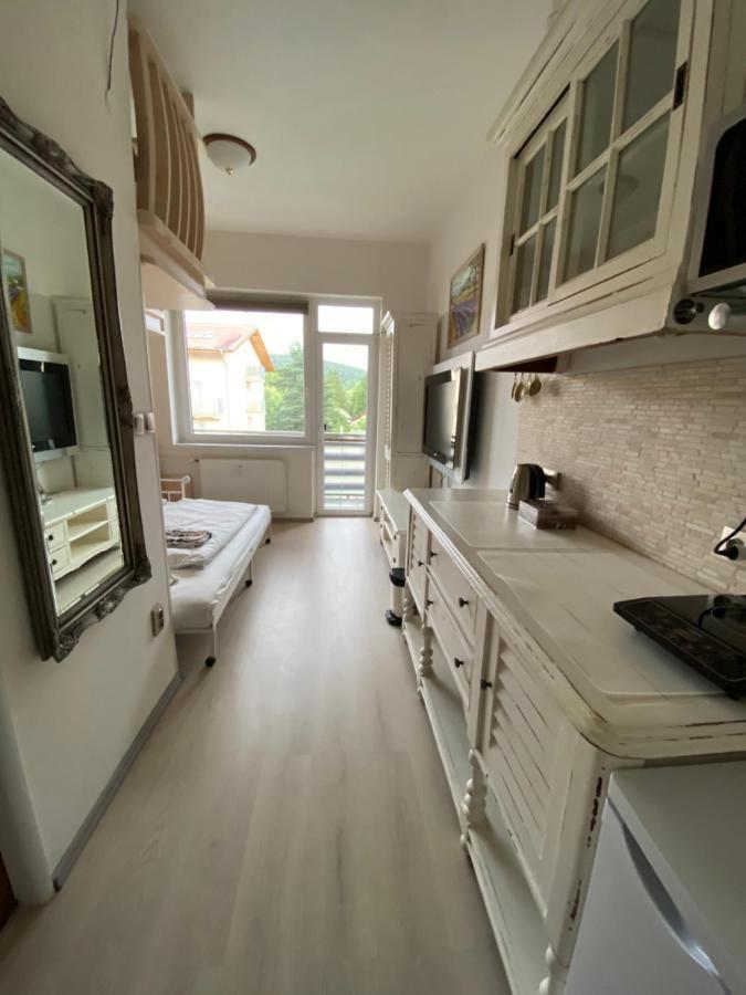 Apartman Slapy-Zdan Екстериор снимка